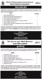 FB_IMG_1757239381595