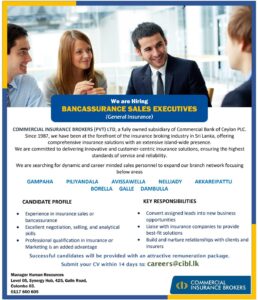 Vacancy Advertisement~2